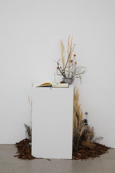 Secession: Verena Dengler. Die Galeristin und der schöne Antikapitalist auf der Gothic G’stettn (Corona Srezessionsession Dengvid-20 🙂) (2.7. - 6.9.2020) https://esel.at/termin/106124 | Foto: eSeL Foto: eSeL.at - Lorenz Seidler
