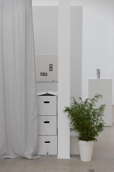 Secession: Verena Dengler. Die Galeristin und der schöne Antikapitalist auf der Gothic G’stettn (Corona Srezessionsession Dengvid-20 🙂) (2.7. - 6.9.2020) https://esel.at/termin/106124 | Foto: eSeL Foto: eSeL.at - Lorenz Seidler