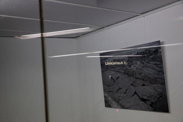 Red Carpet Showroom Karlsplatz:  Silke Grabinger & Meinrad Hofer  - VI! the continuous state of suspense ( 12.2.2020, Eröffnung) https://esel.at/termin/104995 | Foto: eSeL Foto: eSeL.at - Lorenz Seidler