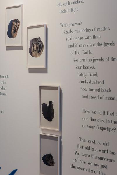 Vienna Contemporary 2020 (Marx Halle, 24.9. - 27.9.2020) https://esel.at/termin/104490 | Foto: eSeL Foto: eSeL.at - Joanna Pianka