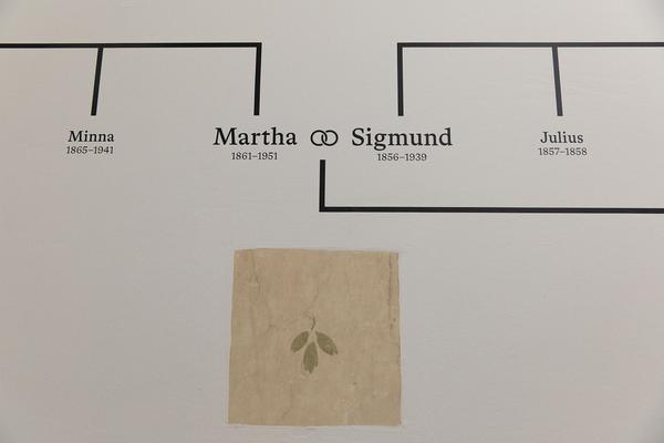 Sigund Freud Museum: Neueröffnung (Pressekonferenz, 26.8.2020)  https://esel.at/termin/106546 | Foto: eSeL Foto: eSeL.at - Lorenz Seidler