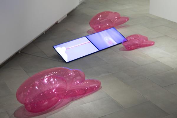 xhibit E: Wiedereröffnung - Multiple Singularities (02.06.2020 - 06.09.2020) https://esel.at/termin/105674 | Foto: eSeL Foto: eSeL.at - Lorenz Seidler