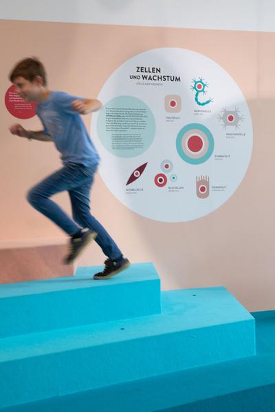 Zoom Kindermuseum: Von Kopf bis Fuss. Mitmachausstellung zum Thema Körper (7.7.2020 wiedereröffnet - 10.1.2021) https://esel.at/termin/105911 | Foto: eSeL Foto: eSeL.at - Lorenz Seidler