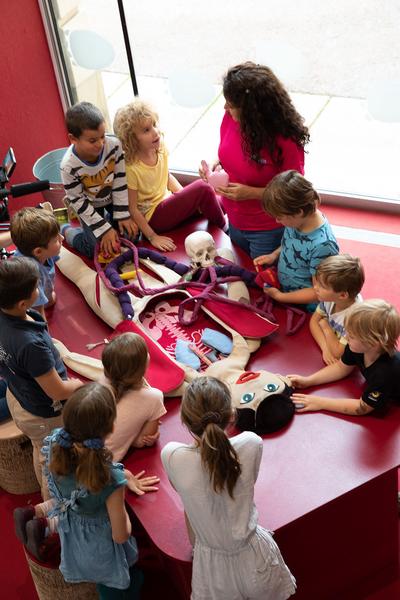 Zoom Kindermuseum: Von Kopf bis Fuss. Mitmachausstellung zum Thema Körper (7.7.2020 wiedereröffnet - 10.1.2021) https://esel.at/termin/105911 | Foto: eSeL Foto: eSeL.at - Lorenz Seidler