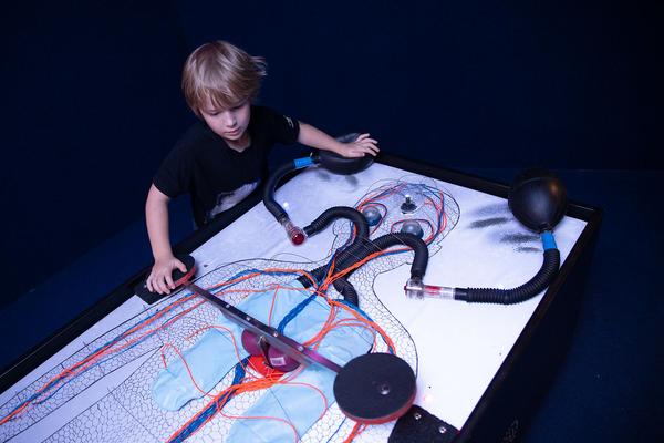 Zoom Kindermuseum: Von Kopf bis Fuss. Mitmachausstellung zum Thema Körper (7.7.2020 wiedereröffnet - 10.1.2021) https://esel.at/termin/105911 | Foto: eSeL Foto: eSeL.at - Lorenz Seidler
