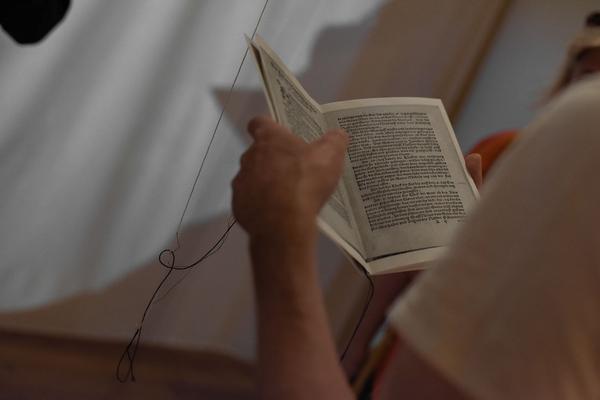 Kunst im öffentlichen Raum Niederösterreich @ Schloss Orth: Franz Kapfer - Zur Errettung des Christentums (25.7.2020, Eröffnung) https://publicart.at/de/kalender/?pid=1009 | Foto: eSeL.at - Joanna Pianka Foto: eSeL.at - Joanna Pianka