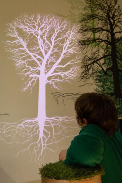 Foto: eSeL.at - Lorenz Seidler