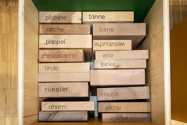  Foto: eSeL.at - Lorenz Seidler