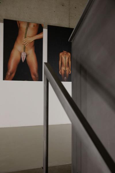 Kunsthalle Wien: And if I devoted my life to one of its feathers? (Wiener Festwochen Ausstellung, 14.5. - 26.9.2021) Foto: eSeL.at - Lorenz Seidler Foto: eSeL.at - Lorenz Seidler