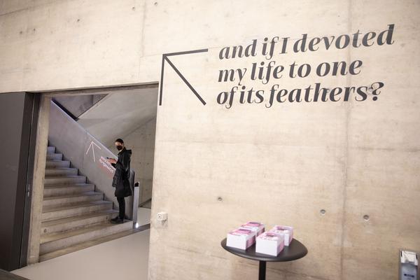 Kunsthalle Wien: And if I devoted my life to one of its feathers? (Wiener Festwochen Ausstellung, Pressekonferenz, 14.5.2021) Foto: eSeL.at - Lorenz Seidler Foto: eSeL.at - Lorenz Seidler