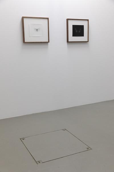 MAK: Andreas Duscha - Sky Glow (Creative Climate Care Galerie, 9.2. - 28.3.2021) https://esel.at/termin/107995 | Foto: eSeL Foto: eSeL.at - Lorenz Seidler