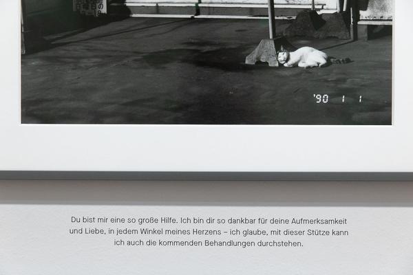 Albertina: ARAKI (26.5. - 29.8.2021) https://www.albertina.at/albertina-modern/ausstellungen/araki | Foto: eSeL Foto: eSeL.at - Lorenz Seidler