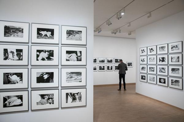 Albertina: ARAKI (26.5. - 29.8.2021) https://www.albertina.at/albertina-modern/ausstellungen/araki | Foto: eSeL Foto: eSeL.at - Lorenz Seidler