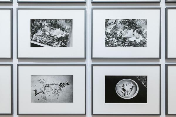 Albertina: ARAKI (26.5. - 29.8.2021) https://www.albertina.at/albertina-modern/ausstellungen/araki | Foto: eSeL Foto: eSeL.at - Lorenz Seidler