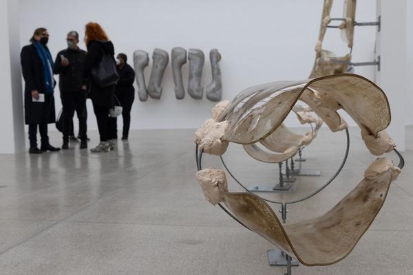 Vienna Art Week / Secession: Eröffnung Nairy Baghramian (19.11.2021) Foto: eSeL.at - Lorenz Seidler Foto: eSeL.at - Lorenz Seidler