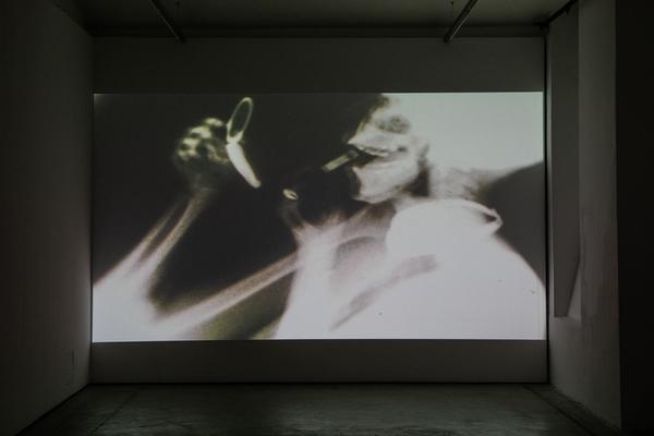 Franz Josef Kai 3: Barbara Hammer - Women I Love (05.03 – 02.05. 2021) https://esel.at/termin/108719 | Foto: eSeL Foto: eSeL.at - Lorenz Seidler