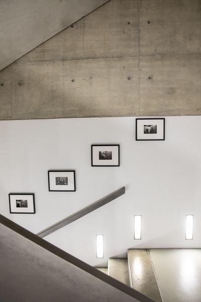 Kunsthalle Wien: Cybernetics of the Poor (17.2.2020 - 28.3.2021) https://kunsthallewien.at/ausstellung/cybernetics-of-the-poor | Foto: eSeL Foto: eSeL.at - Lorenz Seidler