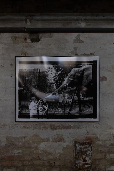 Fotoklasse / Angewandte: Delay (17.5. - 29.5.2021) https://esel.at/termin/108922 | Foto: eSeL Foto: eSeL.at - Lorenz Seidler
