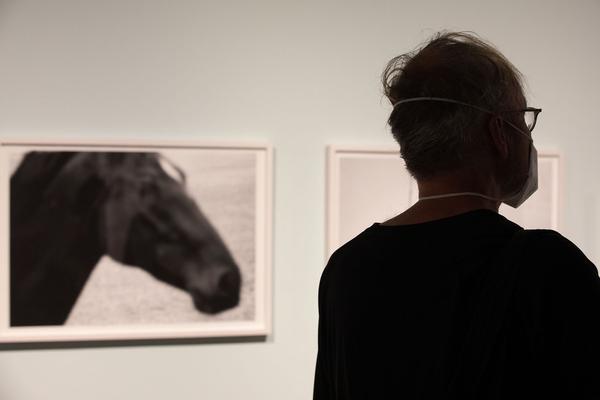 Kunst Haus Wien: Elfie Semotan (5.5.-290.8.2021) https://www.kunsthauswien.com/de/ausstellungen/elfie-semotan | Foto: eSeL Foto: eSeL.at - Lorenz Seidler