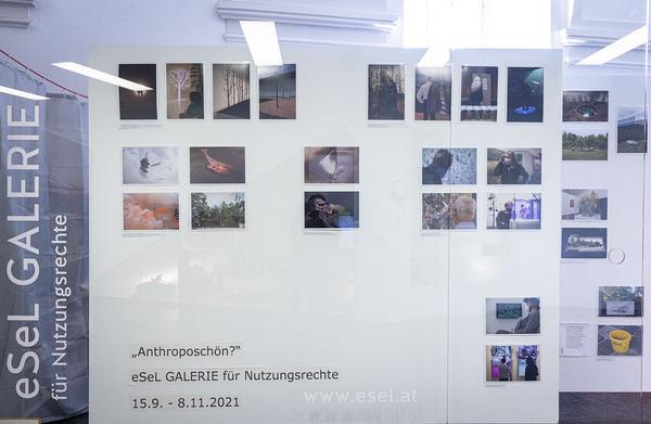 eSeL Shop für Brauchbare Kunst: Kulturartikel für urbane Naturentwicklung  (eSeL REZEPTION, 15.9. - 8.11.2021) Foto: eSeL.at - Lorenz Seidler Foto: eSeL Lorenz Seidler