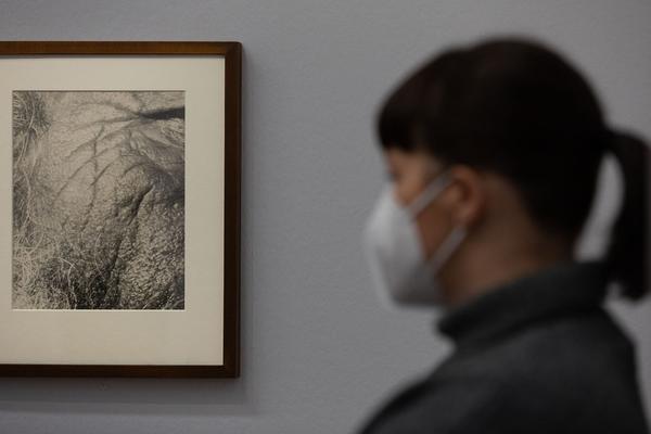 Albertina: Faces. Die Macht des Gesichts (12.2. - 24.5.2021) https://esel.at/termin/104420 | Foto: eSeL Foto: eSeL.at - Lorenz Seidler
