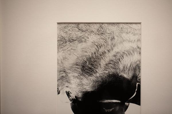 Albertina: Faces. Die Macht des Gesichts (12.2. - 24.5.2021) https://esel.at/termin/104420 | Foto: eSeL Foto: eSeL.at - Lorenz Seidler