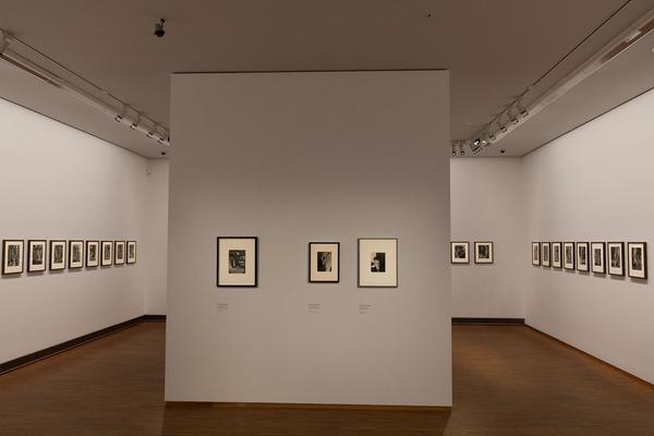 Albertina: Faces. Die Macht des Gesichts (12.2. - 24.5.2021) https://esel.at/termin/104420 | Foto: eSeL Foto: eSeL.at - Lorenz Seidler