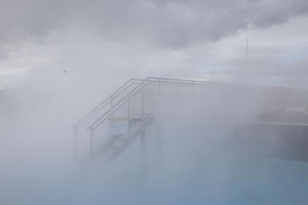 OK Linz: Höhenrausch 2021 - Wie im Paradies (6.5. - 17.10.2021) https://esel.at/termin/108930 | Foto: eSeL Foto: eSeL.at - Lorenz Seidler