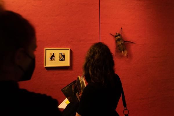 Gemäldegalerie Akademie der Bildenden Künste Wien: Hungry for Time - Raqs Media Collective (09.10.2021 - 30.01.2022, Presseführung) Foto: eSeL.at - Lorenz Seidler Foto: eSeL Lorenz Seidler