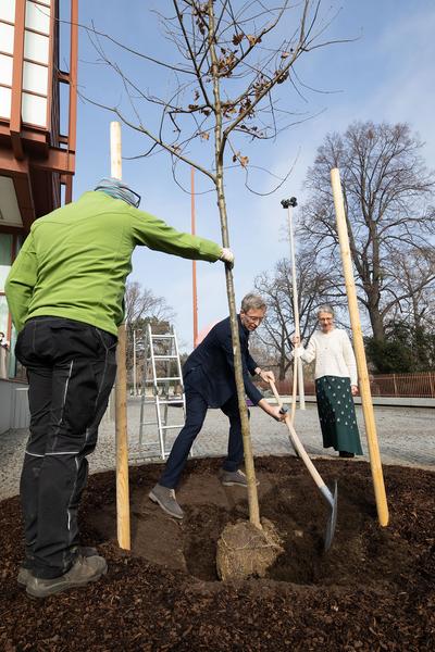Belvedere 21: Joseph Beuys - Denken.Handeln. Vermitteln (4.3. - 13.6.2021)  https://www.belvedere.at/joseph-beuys | Foto: eSeL Foto: eSeL.at - Lorenz Seidler