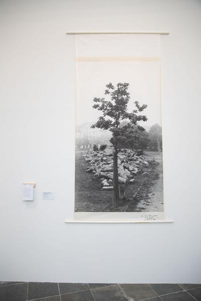 Belvedere 21: Joseph Beuys - Denken.Handeln. Vermitteln (4.3. - 13.6.2021)  https://www.belvedere.at/joseph-beuys | Foto: eSeL Foto: eSeL.at - Lorenz Seidler