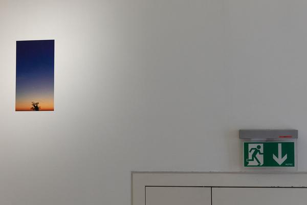 Kunstraum Niederösterreich: Life constantly escapes (26.2. - 34.2021) http://www.kunstraum.net/en/Exhibitions/103-life-constantly-escapes | Foto: eSeL Foto: eSeL.at - Lorenz Seidler