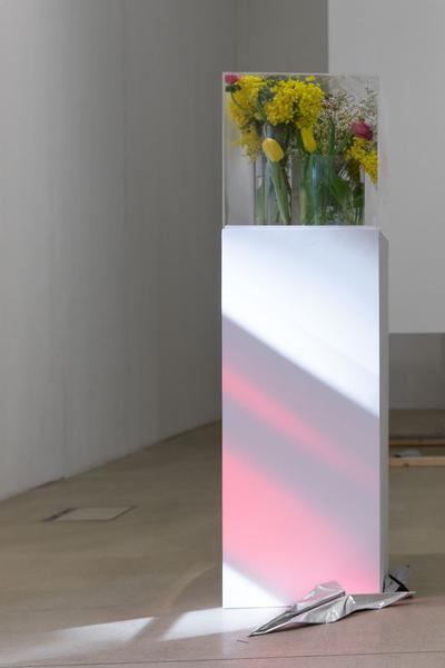 Kunstraum Niederösterreich: Life constantly escapes (26.2. - 34.2021) http://www.kunstraum.net/en/Exhibitions/103-life-constantly-escapes | Foto: eSeL Foto: eSeL.at - Lorenz Seidler
