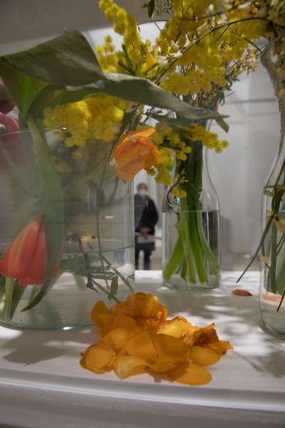 Kunstraum Niederösterreich: Life constantly escapes (Eröffnung, 26.2. - 34.2021) http://www.kunstraum.net/en/Exhibitions/103-life-constantly-escapes | Foto: eSeL Foto: eSeL.at - Lorenz Seidler