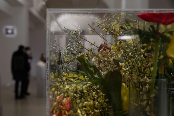 Kunstraum Niederösterreich: Life constantly escapes (Eröffnung, 26.2. - 34.2021) http://www.kunstraum.net/en/Exhibitions/103-life-constantly-escapes | Foto: eSeL Foto: eSeL.at - Lorenz Seidler