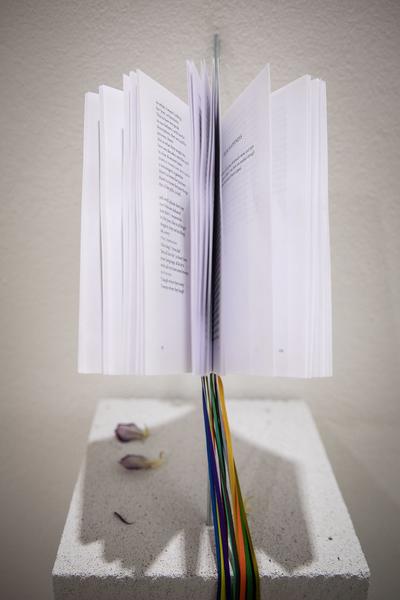 Kunstraum Niederösterreich: Life constantly escapes (Eröffnung, 26.2. - 34.2021) http://www.kunstraum.net/en/Exhibitions/103-life-constantly-escapes | Foto: eSeL Foto: eSeL.at - Lorenz Seidler