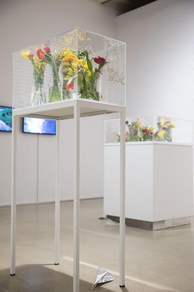 Kunstraum Niederösterreich: Life constantly escapes (Eröffnung, 26.2. - 34.2021) http://www.kunstraum.net/en/Exhibitions/103-life-constantly-escapes | Foto: eSeL Foto: eSeL.at - Lorenz Seidler