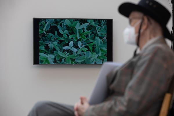 Belvedere 21: Lois Weinberger - Basics (1.7. - 26.10.2021) https://esel.at/termin/108000 | Foto: eSeL Foto: eSeL.at - Lorenz Seidler