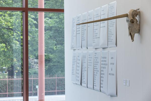 Belvedere 21: Lois Weinberger - Basics (1.7. - 26.10.2021) https://esel.at/termin/108000 | Foto: eSeL Foto: eSeL.at - Lorenz Seidler