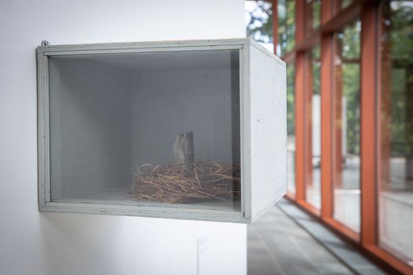 Belvedere 21: Lois Weinberger - Basics (1.7. - 26.10.2021) https://esel.at/termin/108000 | Foto: eSeL Foto: eSeL.at - Lorenz Seidler