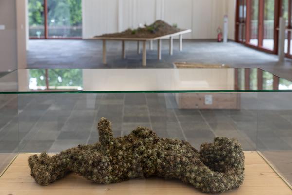 Belvedere 21: Lois Weinberger - Basics (1.7. - 26.10.2021) https://esel.at/termin/108000 | Foto: eSeL Foto: eSeL.at - Lorenz Seidler