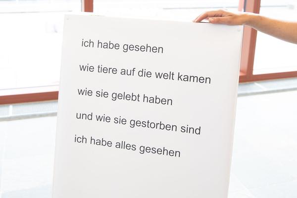 Belvedere 21: Lois Weinberger - Basics (1.7. - 26.10.2021) https://esel.at/termin/108000 | Foto: eSeL Foto: eSeL.at - Lorenz Seidler