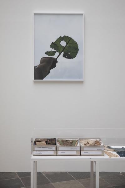 Belvedere 21: Lois Weinberger - Basics (1.7. - 26.10.2021) https://esel.at/termin/108000 | Foto: eSeL Foto: eSeL.at - Lorenz Seidler