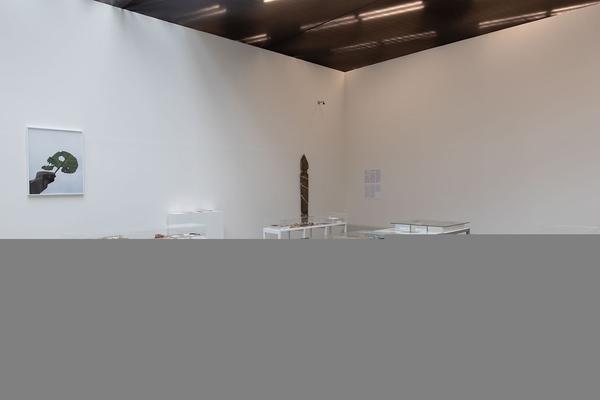 Belvedere 21: Lois Weinberger - Basics (1.7. - 26.10.2021) https://esel.at/termin/108000 | Foto: eSeL Foto: eSeL.at - Lorenz Seidler