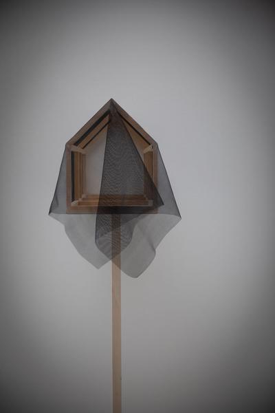 Belvedere 21: Lois Weinberger - Basics (1.7. - 26.10.2021) https://esel.at/termin/108000 | Foto: eSeL Foto: eSeL.at - Lorenz Seidler