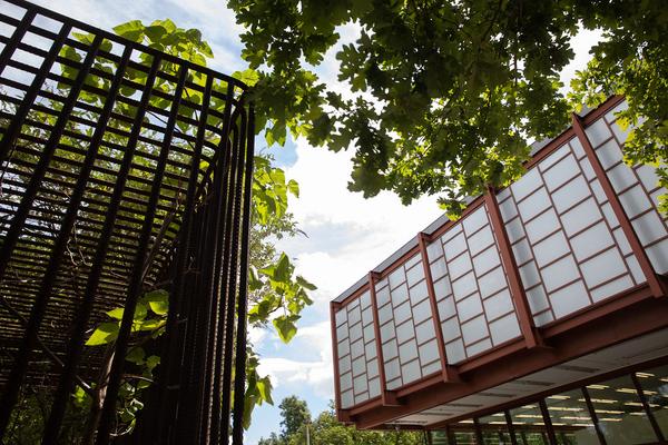 Belvedere 21: Lois Weinberger - Basics (1.7. - 26.10.2021) https://esel.at/termin/108000 | Foto: eSeL Foto: eSeL.at - Lorenz Seidler