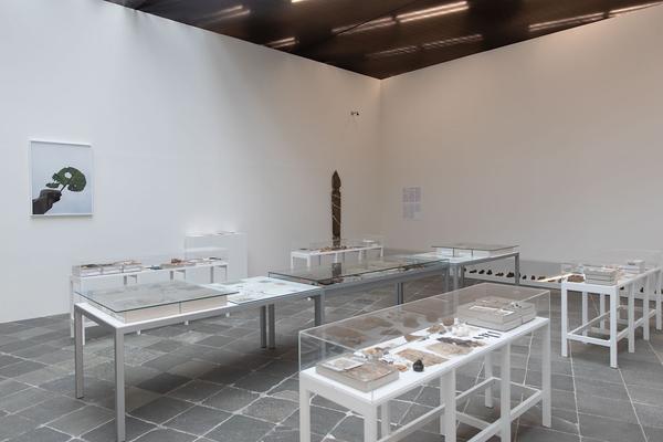 Belvedere 21: Lois Weinberger - Basics (1.7. - 26.10.2021) https://esel.at/termin/108000 | Foto: eSeL Foto: eSeL.at - Lorenz Seidler