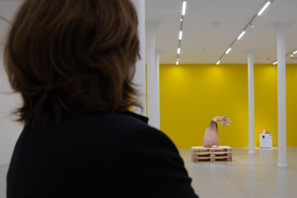 Kunsthalle Krems: Patricia Piccinini. Embracing the Future (27.3. - 3.10.2021) https://www.kunsthalle.at/de/ausstellungen/19-patricia-piccinini-embracing-the-future | Foto: eSeL Foto: eSeL.at - Lorenz Seidler