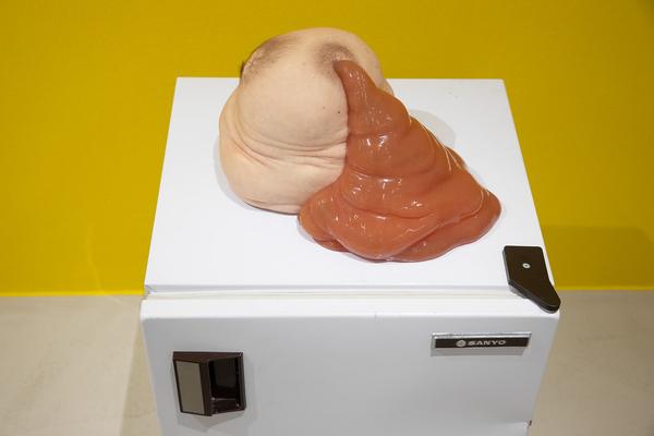 Kunsthalle Krems: Patricia Piccinini. Embracing the Future (27.3. - 3.10.2021) https://www.kunsthalle.at/de/ausstellungen/19-patricia-piccinini-embracing-the-future | Foto: eSeL Foto: eSeL.at - Lorenz Seidler