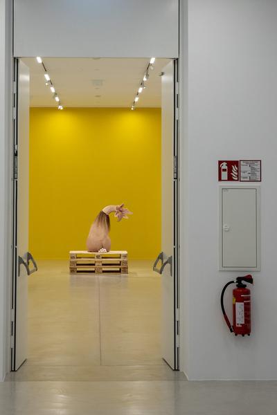Kunsthalle Krems: Patricia Piccinini. Embracing the Future (27.3. - 3.10.2021) https://www.kunsthalle.at/de/ausstellungen/19-patricia-piccinini-embracing-the-future | Foto: eSeL Foto: eSeL.at - Lorenz Seidler